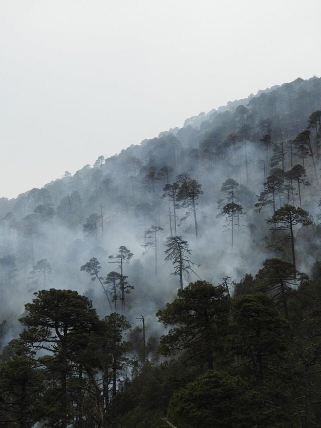 How is climate change impacting hilly regions?