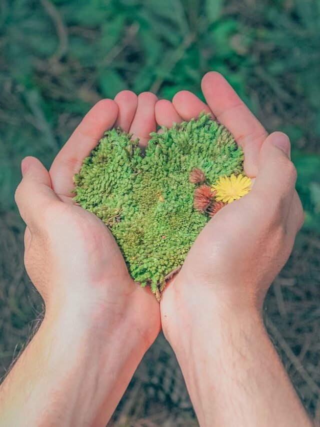 Environment Myths!