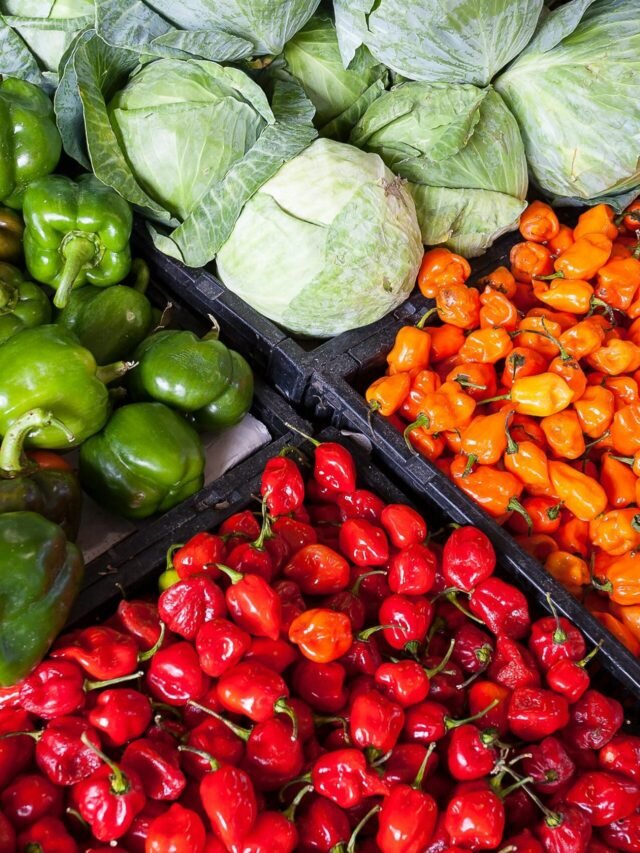 Understanding food security in India