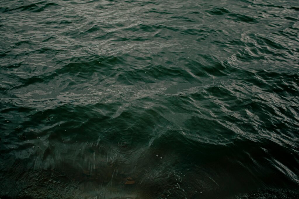 Seawater in Close Up Photography, ocean energy in India
