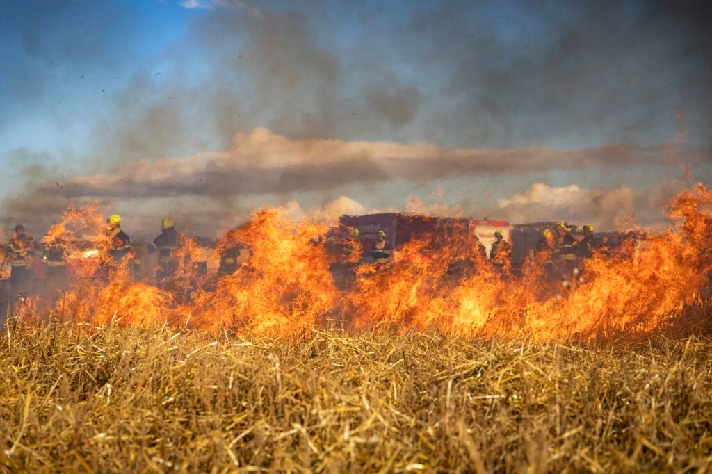fire, field, firefighting, wildfire, bushfire, firefighter, burning, smoke, nature, meadow, grass, catastrophe, wildfire, wildfire, wildfire, wildfire, wildfire, bushfire