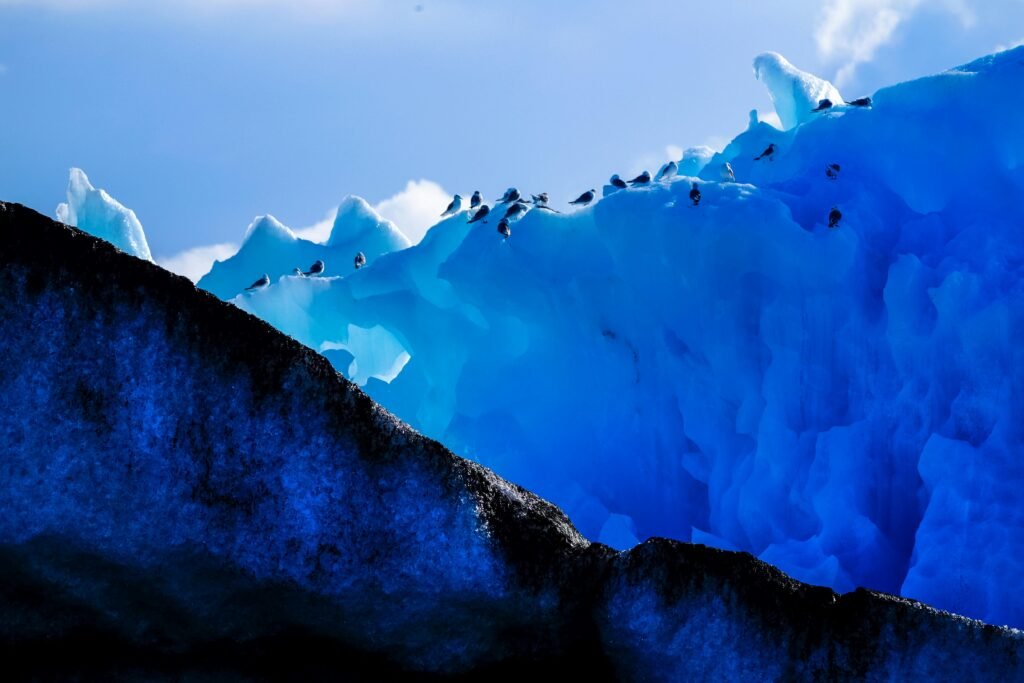 Majestic winter scene of birds perched on an iceberg against a bright blue sky, showcasing the beauty of nature. Birds and climate change.