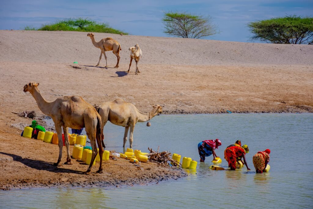 Women gather water in a desert with camels nearby, illustrating resource scarcity. Water scarcity in India
