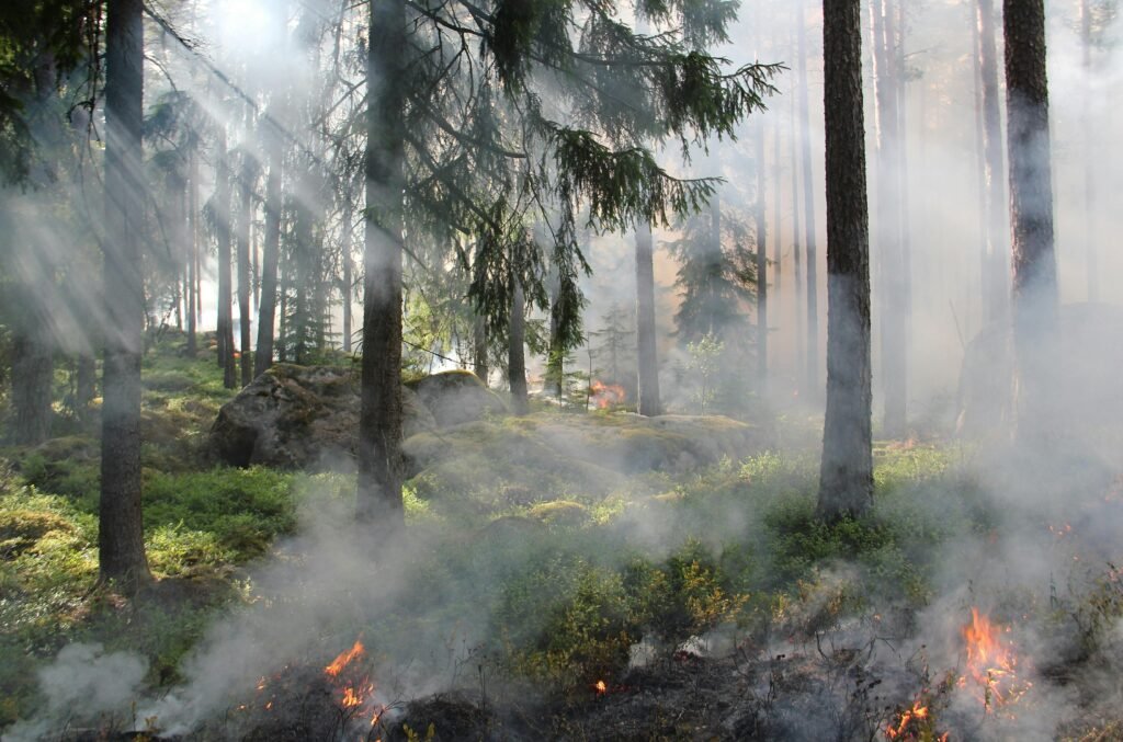 A smoky forest fire captured in the wilderness with burning trees and dense smoke. Climate Change in hilly regions